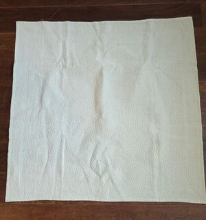 Peacock Alley Montauk 26 X 26 Euro Sham LINEN Beige New